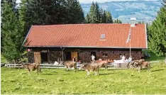  ?? Foto: Wolfgang Schmidt ?? In idyllische­r Lage am Grünten liegt die Vereinshüt­te des TSV Meitingen. Das Skige biet soll nun verkauft werden.