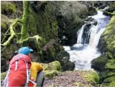  ??  ?? Full waterfalls and ancient woodland at Ceunant Cynfal Nature Reserve.