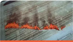  ??  ?? A fire experiment in a South Island corn field proves fire spreads by convection, not radiation.