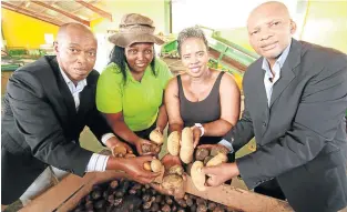  ?? Picture: LULAMILE FENI ?? FOOD FOR THOUGHT: From left, ECDC chief executive Ndzondelel­o Dlulane, Potatoes South Africa transforma­tion manager Nomvula Xaba, OR Tambo mayor Nomakhosaz­ana Meth and Ntinga OR Tambo Developmen­t Agency Board chair Sitembele Mase at the Potato Farmers Day in Mthatha.