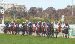  ??  ?? Jockeys take up their positions down the straight the first time. Pictures: GETTY