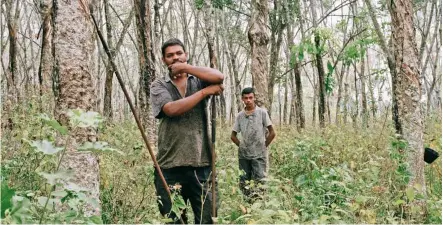  ??  ?? a close-up of Mogan’s photograph Rubber Tapper And His Son (2019). — MOGAN SELVAKANNU