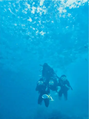  ??  ?? SPECTACLE: Divers watch hundreds of moon jellyfish at Moore Reef, off Cairns. Picture: PABLO COGOLLOS