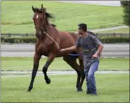  ?? MARK HALL — USTA VIA AP ?? In this Saturday photo provided by the United States Trotting Associatio­n, caretaker Carlos Aguilar exercises Hambletoni­an contender Internatio­nal Moni at Lindy Farm in Enfield, Conn. Devious Man and Internatio­nal Moni are the 5-2 favorites in their...