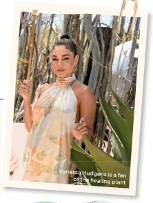  ??  ?? Vanessa Hudgens
is a fan of the healing plant