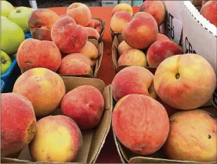  ?? INSIDECLIM­ATE NEWS ?? Peaches need dormancy, so their growers were delighted to have more chill hours.