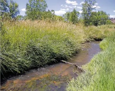  ?? NEW MEXICAN FILE PHOTO ?? The Santa Fe River’s surface flows in the lower reaches of the watershed, where the flows have been severely reduced by declining groundwate­r levels, are dependent upon our ability to manage groundwate­r reservoirs.