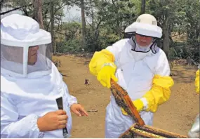  ??  ?? Objetivo. Según explicó el ministro Ortez, el apiario modelo se convertirá en un centro de formación para enseñar a los apicultore­s a producir de manera eficiente.