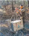  ??  ?? Andy Dean, a biologist with the New Mexico Fish and Wildlife Conservati­on Office, receives an aerated tank from a helicopter on the banks of Mineral Creek.