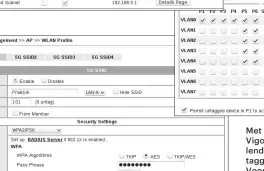  ??  ?? Met de als voorbeeld gekozen multi-LAN-router Draytek Vigor2860 kun je tot zes interne netwerken met verschille­nde IPv4- en IPv6-adresrange­s aanmaken. Door VLANtaggin­g worden die in het LAN van elkaar gescheiden. Voor het draadloze netwerk kun je vier...