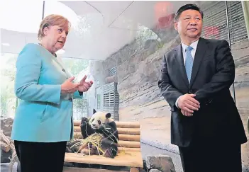  ?? FOTO: DPA ?? Der Panda wird mit Bambus bespaßt, Bundeskanz­lerin Angela Merkel und Chinas Staatspräs­ident Xi Jingping stellen sich für die Kameras in Position.