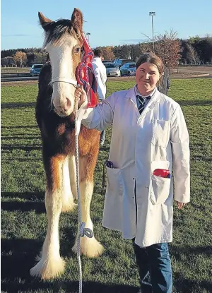  ??  ?? Charlotte Young, from Hall, Ayr, with her Clydesdale supreme champion at the Winter Fair in Lanark, Doura Magic Touch.