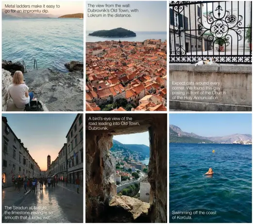  ??  ?? Metal ladders make it easy to go for an impromtu dip.
The Stradun at twilight; the limestone paving is so smooth that it looks wet.
The view from the wall: Dubrovnik’s Old Town, with Lokrum in the distance.
A bird’s-eye view of the road leading into Old Town, Dubrovnik.
Expect cats around every corner. We found this guy posing in front of the Church of the Holy Annunciati­on.
Swimming off the coast of Korcula.