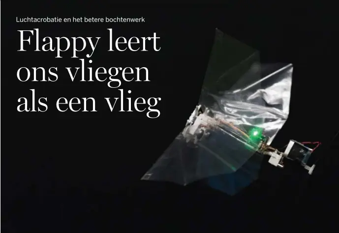  ?? © TU Delft ?? Flappy de robot vliegt efficiënte­r dan een klassieke drone.