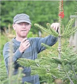  ?? Picture: Kelly Mcintyre Photograph­y. ?? Willie Mcintyre of Sholach Farm.