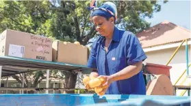  ??  ?? AT WORK. Anna Matsimela packs oranges from a bin into boxes on Zebediela Citrus Farm in Limpopo.