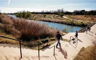  ?? Photos by Robin Jerstad / Contributo­r ?? Grasses planted in October have grown along the Mission Reach of the San Antonio River. The San Antonio River Authority has been removing trees along the Mission Reach and planting native grasses to prevent flooding.