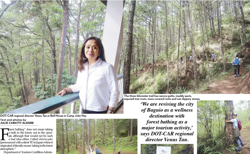  ??  ?? The three-kilometer trail has narrow paths, muddy spots, exposed tree roots, moss-covered rocks and wet slippery stones. Adrian Fernandez of DOT-CAR is a tree-hugger. DOT-CAR regional director Venus Tan at Bell House in Camp John Hay