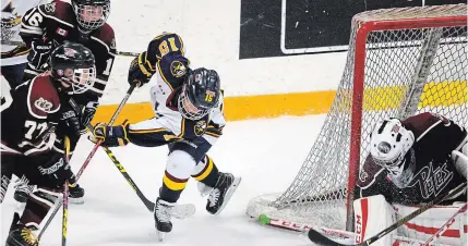  ?? CLIFFORD SKARSTEDT/EXAMINER FILE PHOTO ?? The Peterborou­gh Petes have launched a new awards program for local minor hockey players.