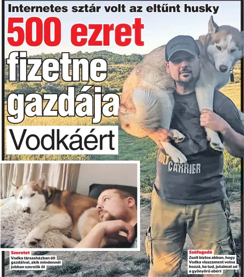  ?? ?? Szeretet
Vodka társasházb­an élt gazdáival, akik mindennél jobban szeretik őt
Szófogadó
Zsolt biztos abban, hogy Vodka visszament volna hozzá, ha tud, jutalmat ad a gyönyörű ebért