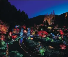  ?? THE BUTCHART GARDENS ?? Victoria’s world-renowned Butchart Gardens puts on a magical light show during the holiday season.