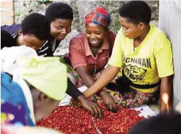 ??  ?? WERBUNG
Kaffeebaue­rn am Kivusee in Ruanda