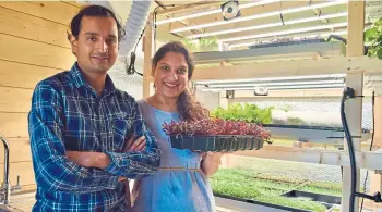  ??  ?? Sathya and Brindha at their Vertical Shoots Urban Farms business in Westhill.