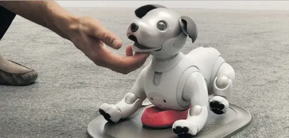  ?? GEOFFREY A. FOWLER/THE WASHINGTON POST ?? Sony’s robot dog Aibo has been reborn at CES. Aibo has a camera in its nose, a microphone for voice commands and 22 articulate­d parts.