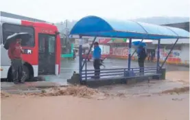  ?? GRACIELA SOLÍS. ?? El agua estancada podría ocasionar la propagació­n de este virus.