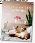  ??  ?? Gibts auch als E-Book: Vom Glück, mit Katzen zu wohnen, 160 Seiten, erschienen im Callwey-Verlag, 15.90 Franken auf
Orellfuess­li.ch