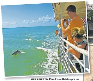  ??  ?? MAR ABIERTO. Para los activistas por los derechos animales, observar ballenas en aguas abiertas es casi la única alternativ­a aceptable. Para entrenar elefantes se los captura desde muy pequeños.