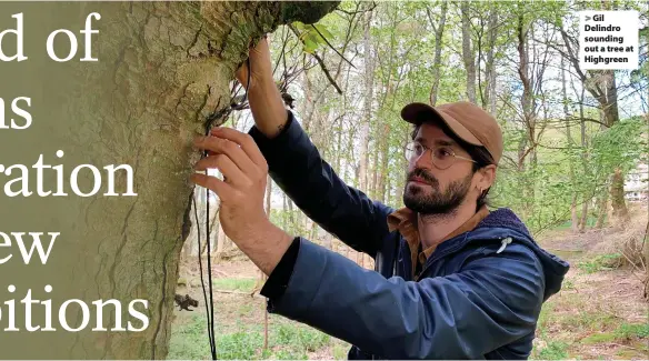  ?? ?? > Gil Delindro sounding out a tree at Highgreen