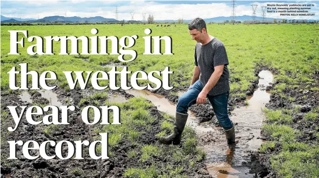  ?? PHOTOS: KELLY HODEL/STUFF ?? Wayne Reynolds’ paddocks are yet to dry out, meaning planting summer feed is a month behind schedule.