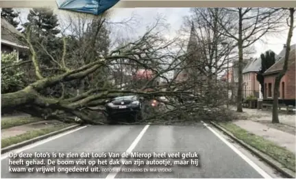  ?? FOTO'S JEF PELCKMANS EN MIA UYDENS ?? Op deze foto’s is te zien dat Louis Van de Mierop heel veel geluk heeft gehad. De boom viel op het dak van zijn autootje, maar hij kwam er vrijwel ongedeerd uit.