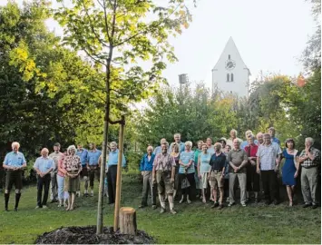  ?? Fotos: Vicky Jeanty ?? Der Spitzahorn, gestiftet von Richard Freiherr von Herman, steht am Schorner Spielplatz. Der circa 20 Jahre alte Baum soll an das 800. Jubiläum des Ortes erinnern, das am Wochenende gebührend gefeiert wurde.