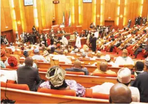  ??  ?? The Senate Chamber