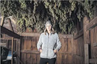  ?? Patrick Dodson / The New York Times ?? As Iris Rogers tries to save the family farm in Salem by growing hemp, she has had to deal with thieves who mistakenly believe the plant is marijuana.