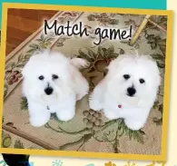  ??  ?? Match game!