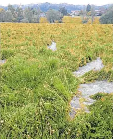  ??  ?? Der „heftige Wasseraust­ritt“sorgte für eine regelrecht­e Überschwem­mung in der noch ungemähten Wiese in der Senke im Bereich der Flur Feuerschwa­nden.