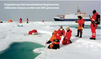  ??  ?? Eisproben aus fünf verschiede­nen Regionen des Arktischen Ozeans wurden vomawi genommen