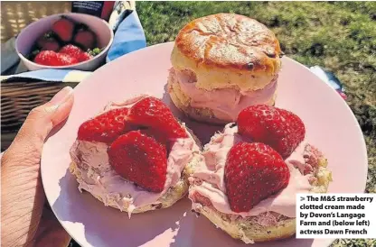  ??  ?? > The M&S strawberry clotted cream made by Devon’s Langage Farm and (below left) actress Dawn French