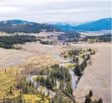  ?? BRENT CALVER ?? The Jim Prentice Wildlife Corridor will link natural areas to re-establish connectivi­ty for wildlife in the interior of the Rockies.