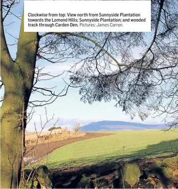  ?? Pictures: James Carron. ?? Clockwise from top: View north from Sunnyside Plantation towards the Lomond Hills; Sunnyside Plantation; and wooded track through Carden Den.