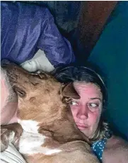  ?? JULIE THORNTON JOHNSON ?? Julie Thornton Johnson woke up one morning to find a dog sleeping with her and her husband. But the couple, who own three dogs themselves, quickly realized this one didn’t belong to them.