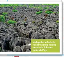  ??  ?? Madagaskar se hoë rotswoude van skerp kalkklipro­tse in die Ankarana Nasionale Park.