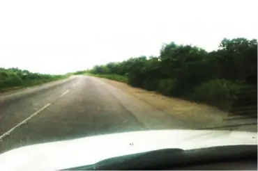  ??  ?? Tall grasses are said to give big cover to kidnappers on Abuja-Kaduna highway. PHOTO: Ibraheem Muhammad Hamza