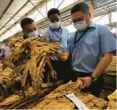  ?? TSVANGIRAY­I MUKWAZHI/AP ?? Chinese buyers inspect tobacco Wednesday in Harare, Zimbabwe. Chinese support and demand has been integral to Zimbabwe’s tobacco boom.