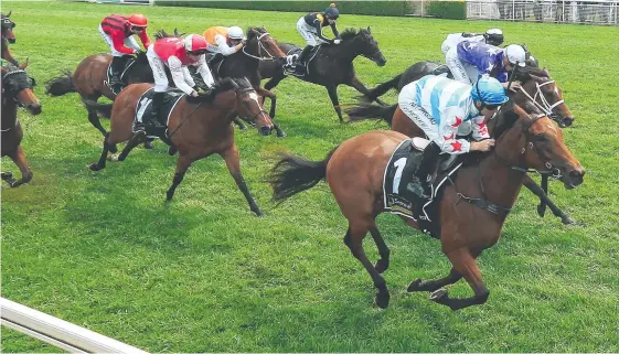  ?? Picture: Getty Images ?? Guineas hope Forbidden Love wins the Reginald Allen Quality at Randwick in October.