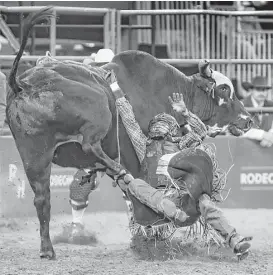  ?? Steve Gonzales / Houston Chronicle ?? Score one for Back in Black as he dispatches of Koby Radley on Tuesday night during the second round of Super Series III at RodeoHoust­on.