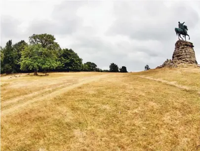  ?? ?? Brown Windsor: Snow Hill in Windsor Great Park, Berks, has never been less aptly named